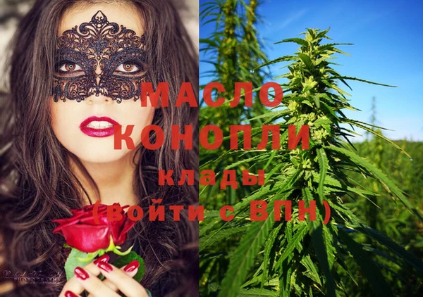 дмт Новозыбков