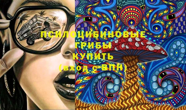 дмт Новозыбков