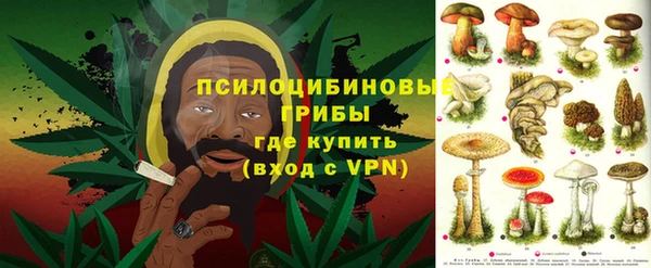 спайс Нягань