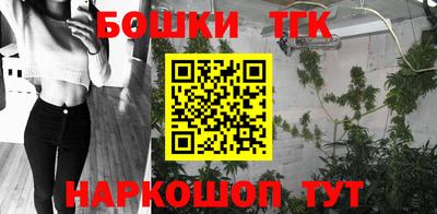 тгк Гусев