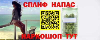 тгк Гусев