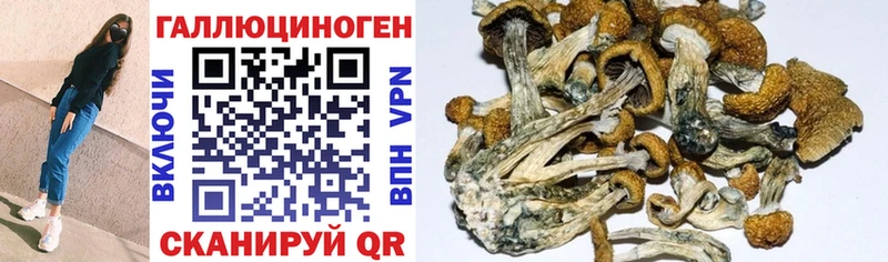 Псилоцибиновые грибы MAGIC MUSHROOMS  Михайловск 