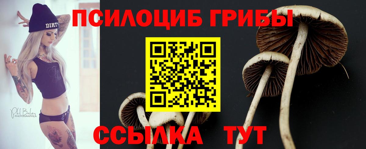Псилоцибиновые грибы ЛСД Михайловск